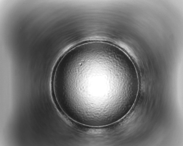 X0000096431237200801311426