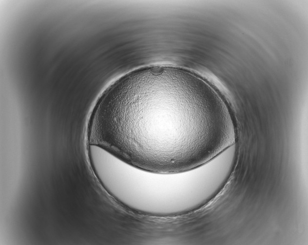 X0000096431240200801311426