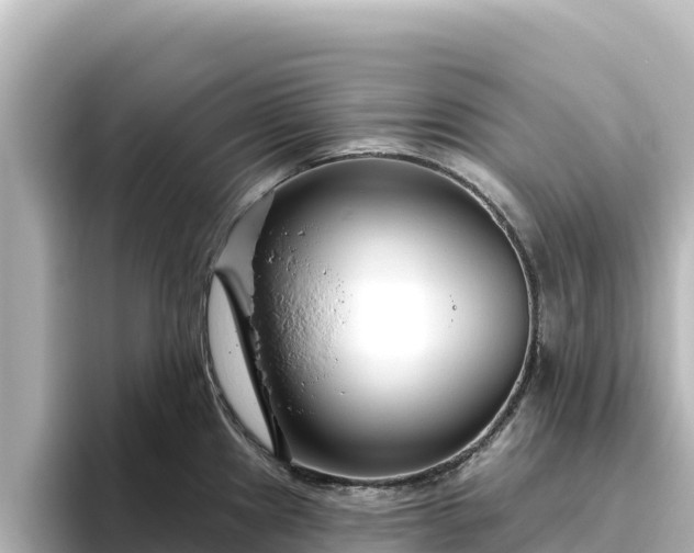 X0000096431241200801311426