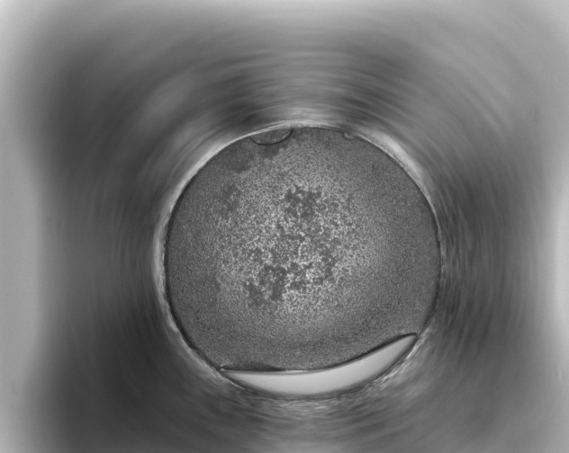 X0000096431243200801311426