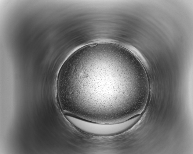 X0000096431244200801311426