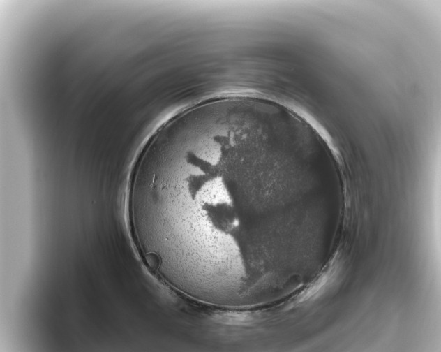 X0000096431245200801311426