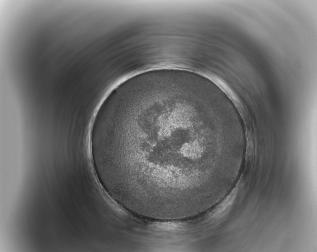 X0000096431246200801311426