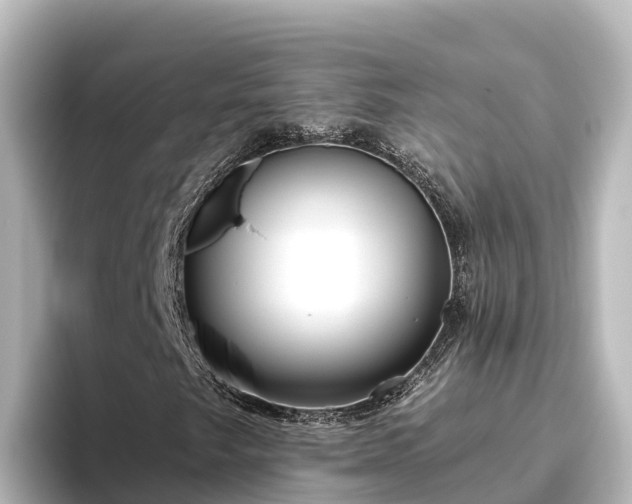 X0000096431249200801311425