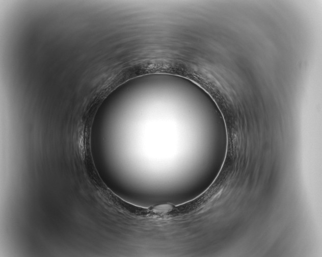 X0000096431250200801311425
