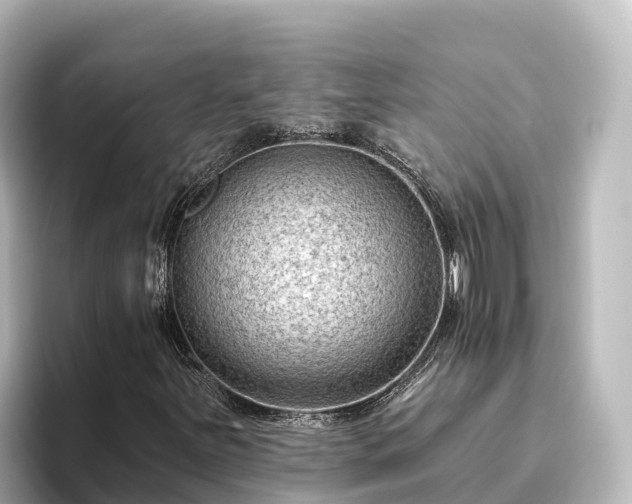 X0000096431251200801311425