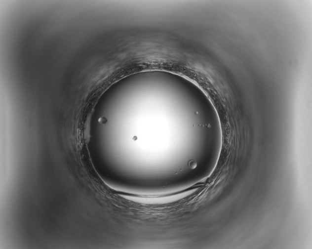 X0000096431253200801311425