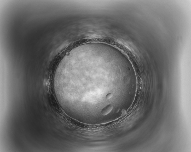 X0000096431254200801311425