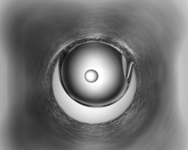 X0000096431256200801311425