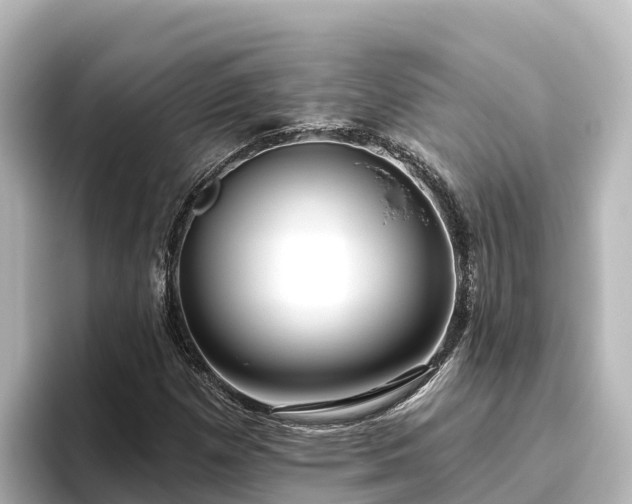 X0000096431257200801311425