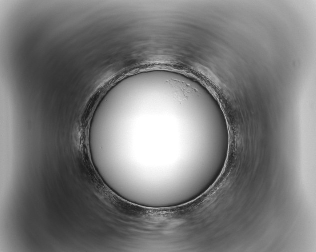 X0000096431258200801311425