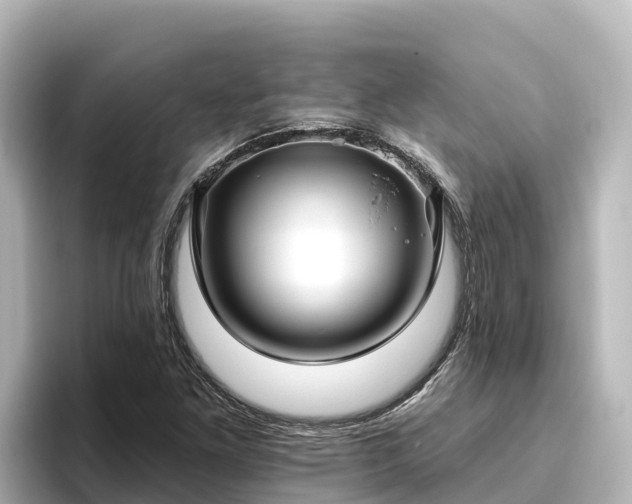 X0000096431261200801311425