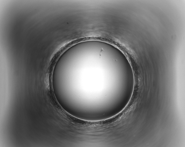 X0000096431262200801311425