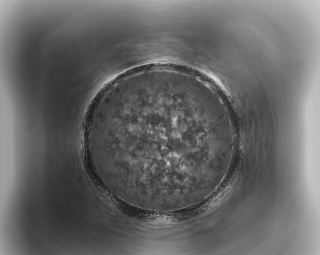 X0000096431263200801311425