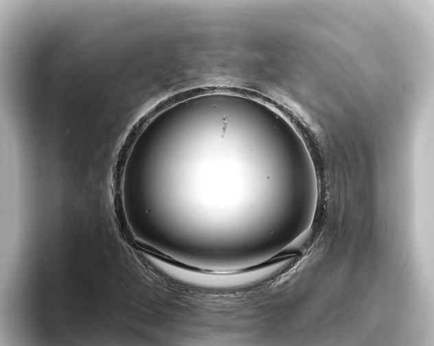 X0000096431264200801311425