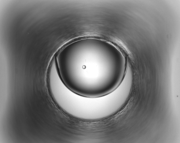 X0000096431268200801311425