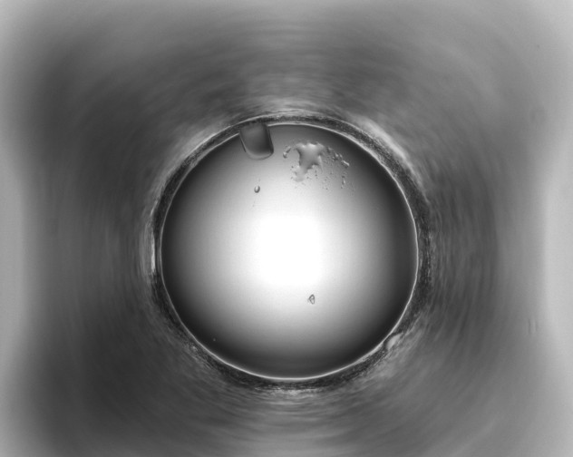 X0000096431269200801311425