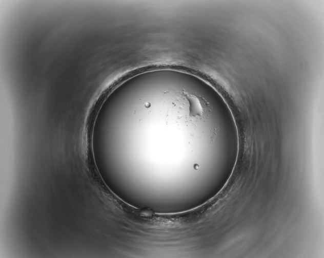 X0000096431270200801311425