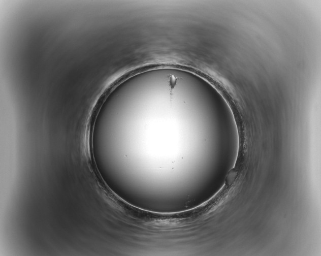 X0000096431272200801311425