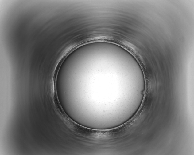X0000096431274200801311425
