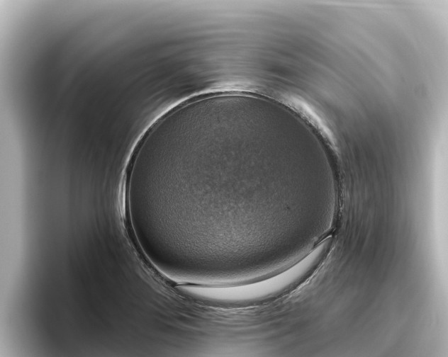 X0000096431276200801311425