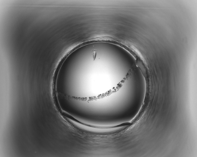 X0000096431277200801311425