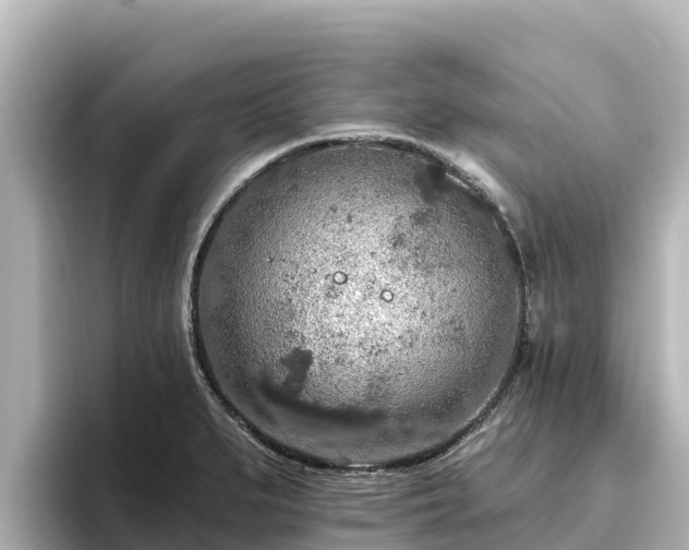 X0000096431279200801311425