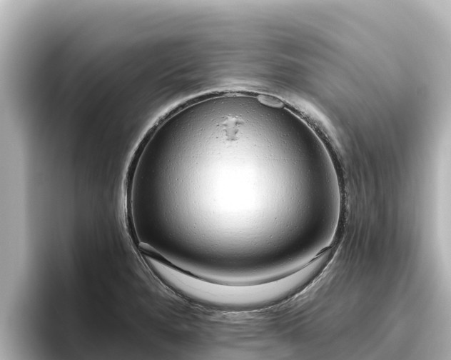 X0000096431280200801311425
