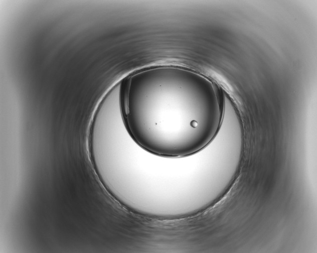 X0000096431284200801311425