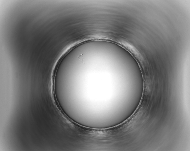 X0000096431286200801311425