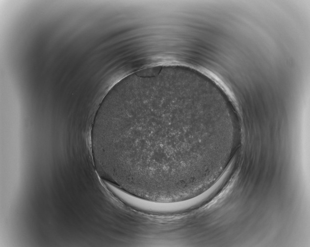 X0000096431289200801311425