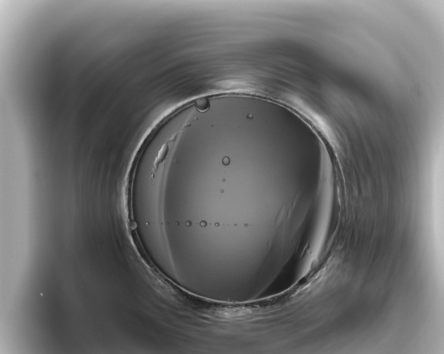 X0000096431291200801311425