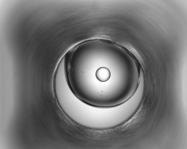 X0000096431292200801311425