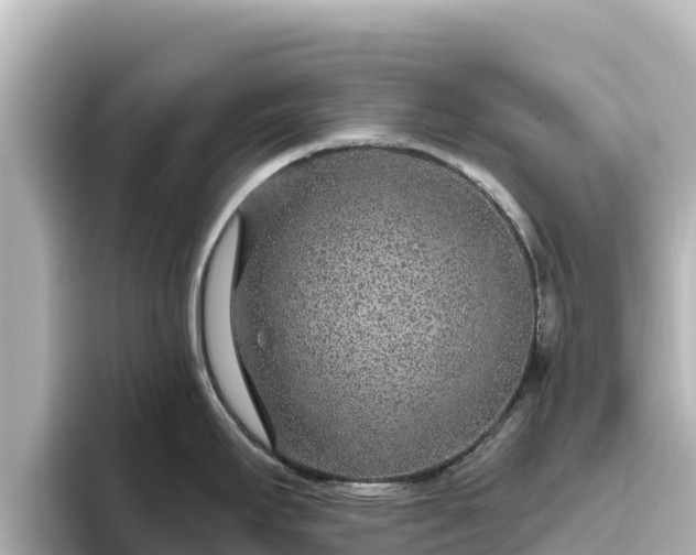 X0000096431295200801311425