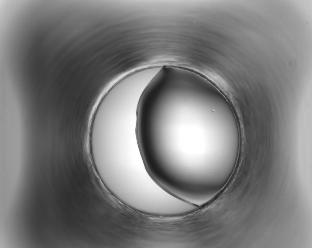 X0000096431296200801311425