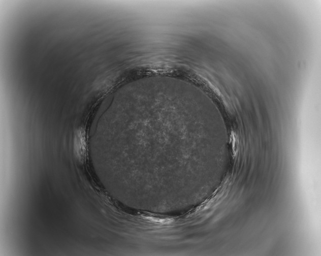 X0000096431298200801311424