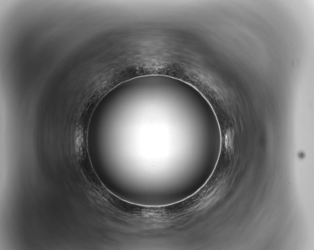 X0000096431299200801311424