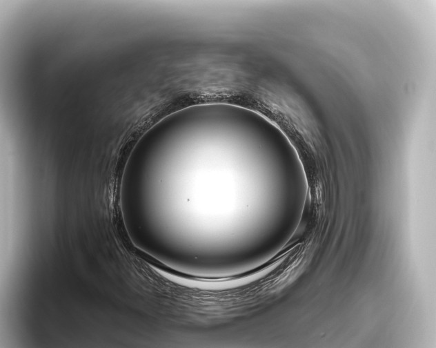 X0000096431300200801311424