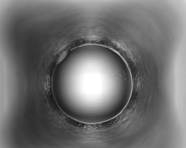 X0000096431301200801311424