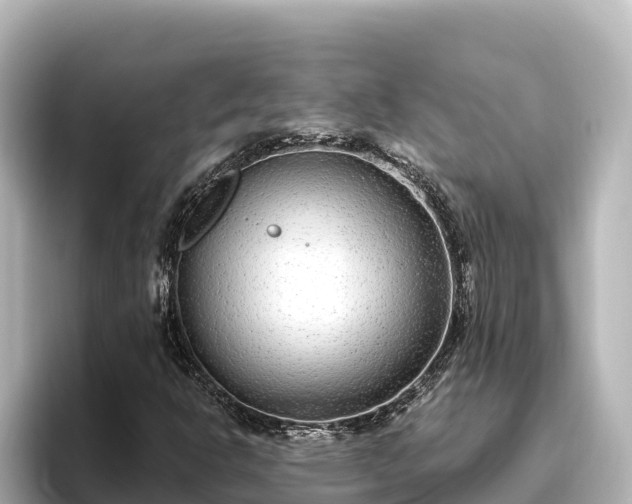 X0000096431302200801311424