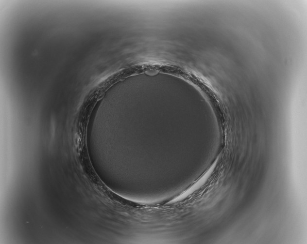 X0000096431303200801311424