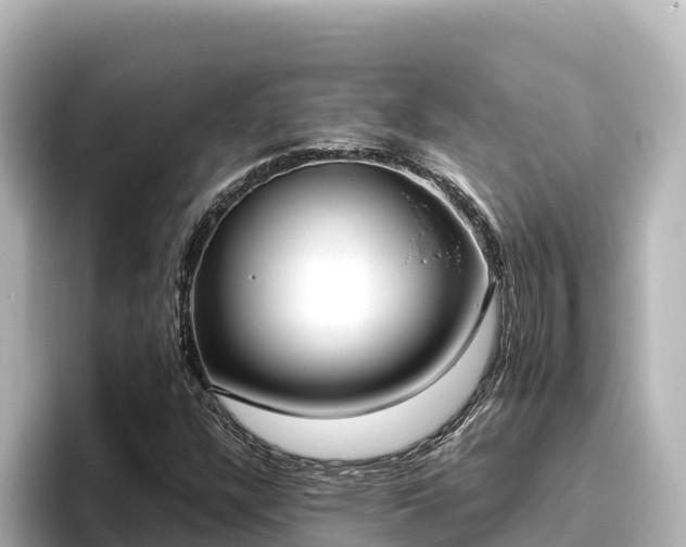 X0000096431304200801311424