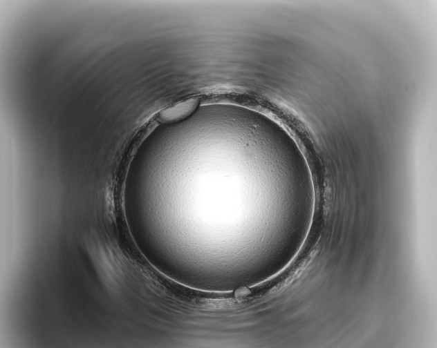X0000096431305200801311424