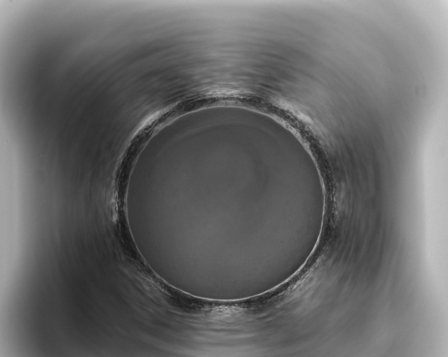 X0000096431306200801311424