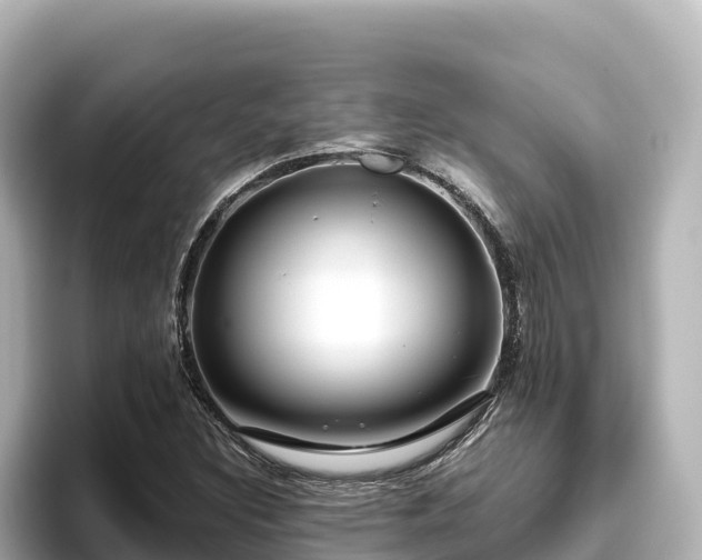 X0000096431308200801311424