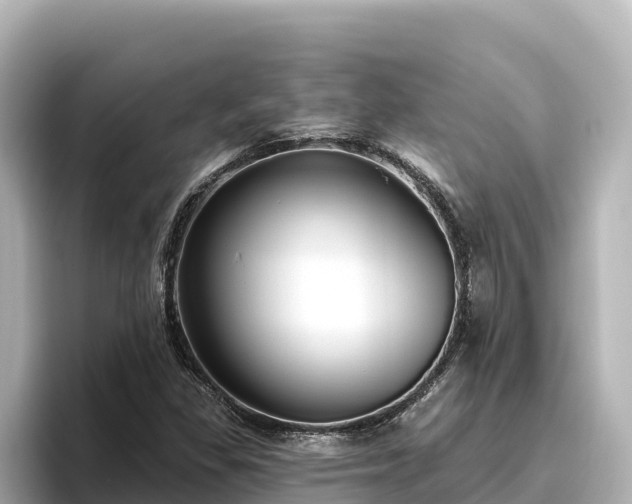 X0000096431309200801311424