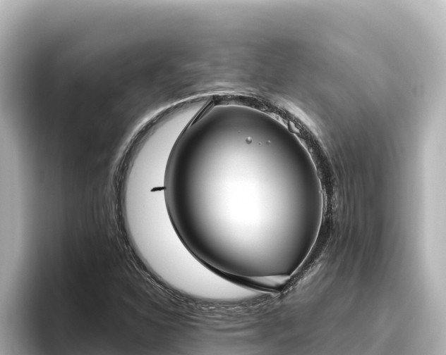 X0000096431310200801311424