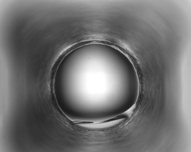 X0000096431312200801311424