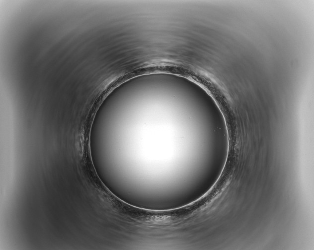 X0000096431313200801311424