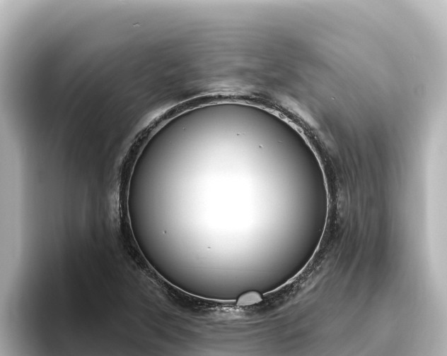 X0000096431315200801311424